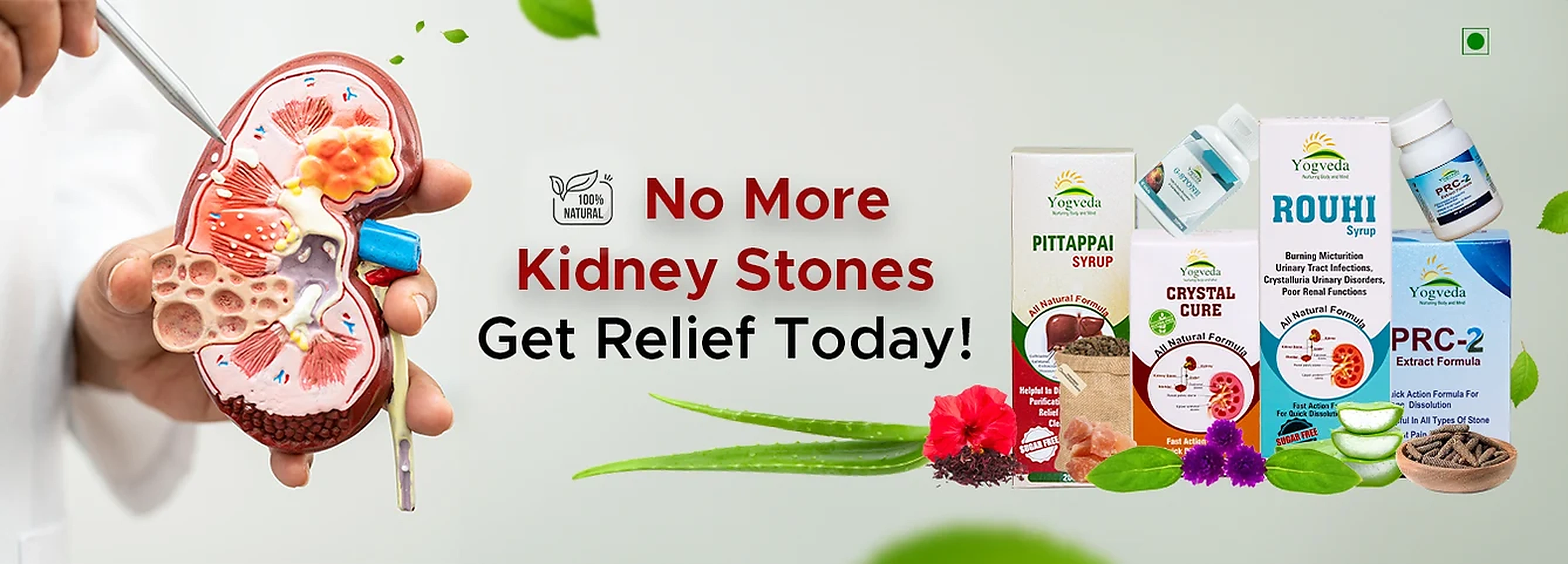 Kidney stone wellness products